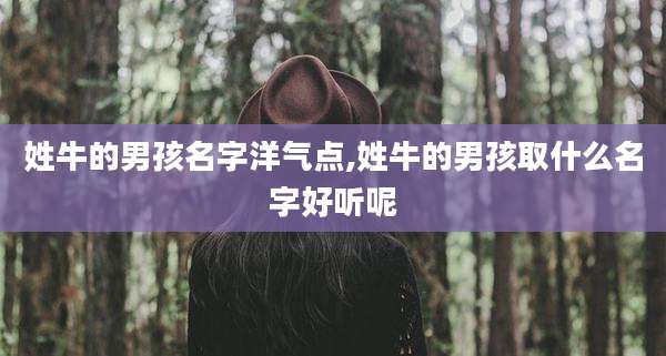 姓牛的男孩名字洋气点,姓牛的男孩取什么名字好听呢