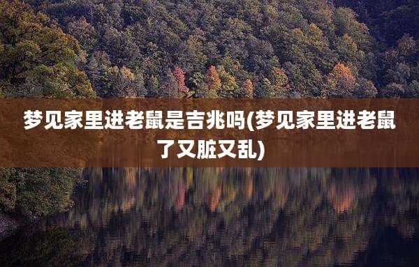 梦见家里进老鼠是吉兆吗(梦见家里进老鼠了又脏又乱)