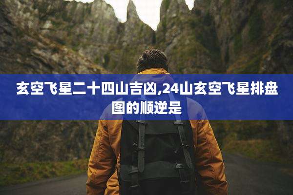 玄空飞星二十四山吉凶,24山玄空飞星排盘图的顺逆是
