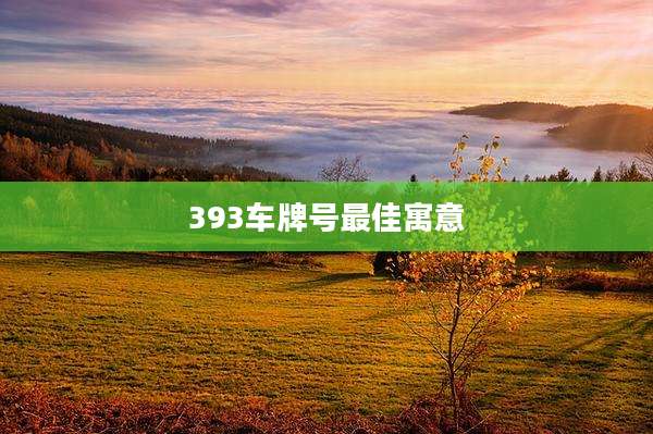 393车牌号最佳寓意