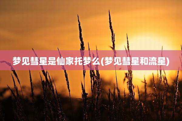 梦见彗星是仙家托梦么(梦见彗星和流星)