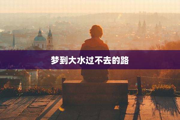 梦到大水过不去的路
