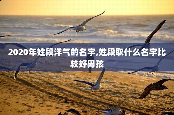 2020年姓段洋气的名字,姓段取什么名字比较好男孩