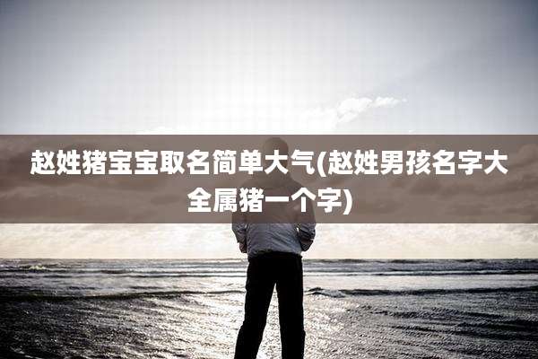 赵姓猪宝宝取名简单大气(赵姓男孩名字大全属猪一个字)