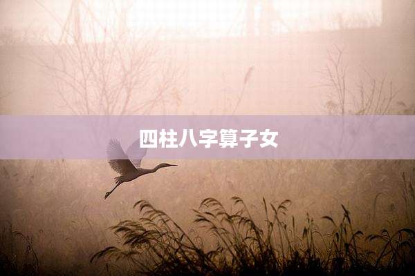 四柱八字算子女