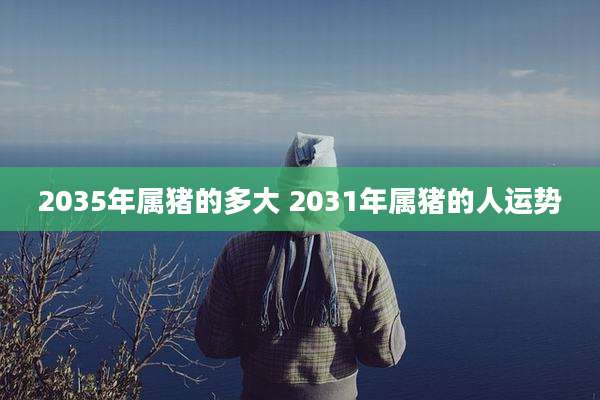 2035年属猪的多大 2031年属猪的人运势