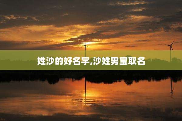 姓沙的好名字,沙姓男宝取名