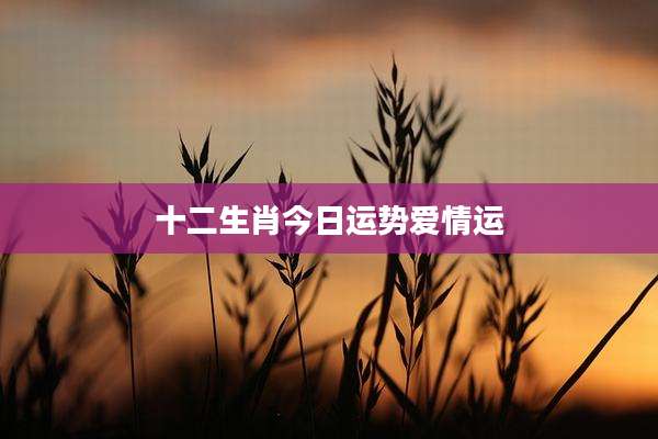 十二生肖今日运势爱情运
