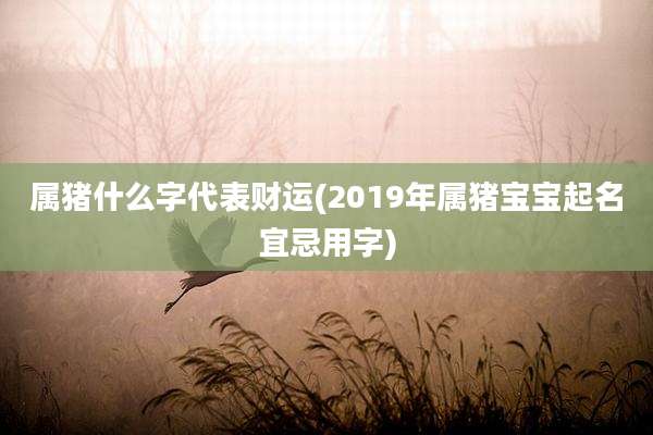 属猪什么字代表财运(2019年属猪宝宝起名宜忌用字)