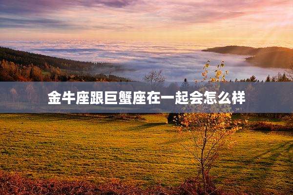 金牛座跟巨蟹座在一起会怎么样