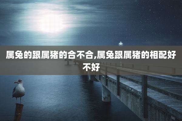 属兔的跟属猪的合不合,属兔跟属猪的相配好不好