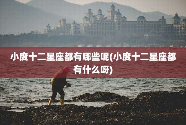 小度十二星座都有哪些呢(小度十二星座都有什么呀)