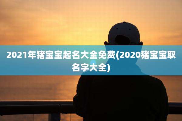 2021年猪宝宝起名大全免费(2020猪宝宝取名字大全)