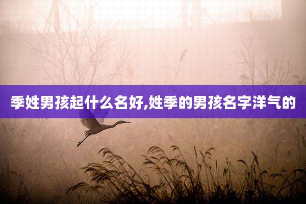 季姓男孩起什么名好,姓季的男孩名字洋气的