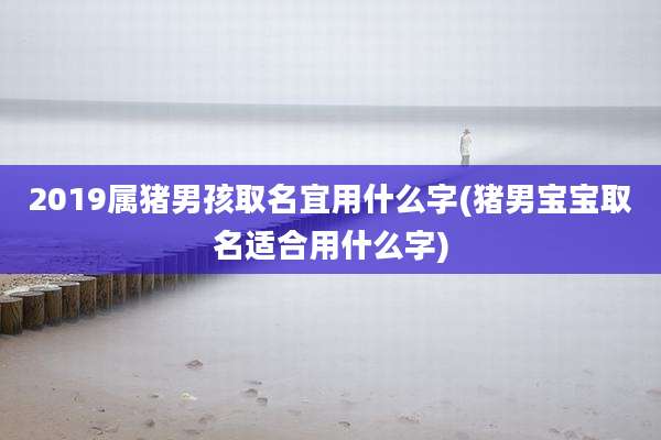 2019属猪男孩取名宜用什么字(猪男宝宝取名适合用什么字)