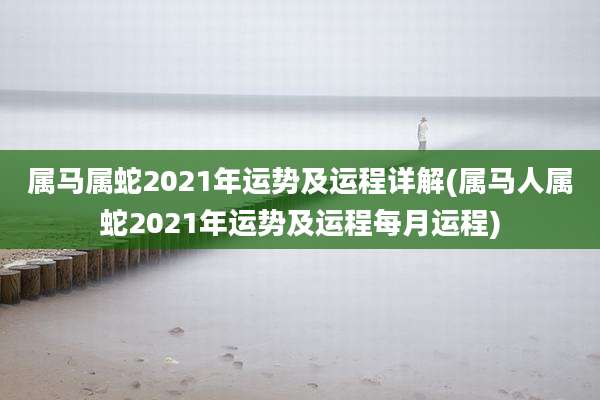 属马属蛇2021年运势及运程详解(属马人属蛇2021年运势及运程每月运程)
