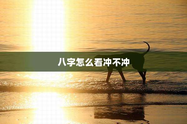 八字怎么看冲不冲