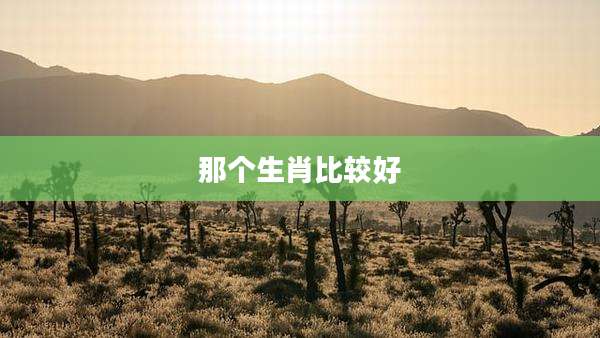 那个生肖比较好