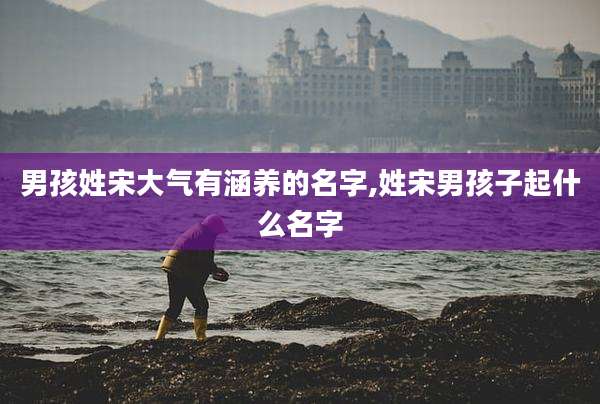 男孩姓宋大气有涵养的名字,姓宋男孩子起什么名字