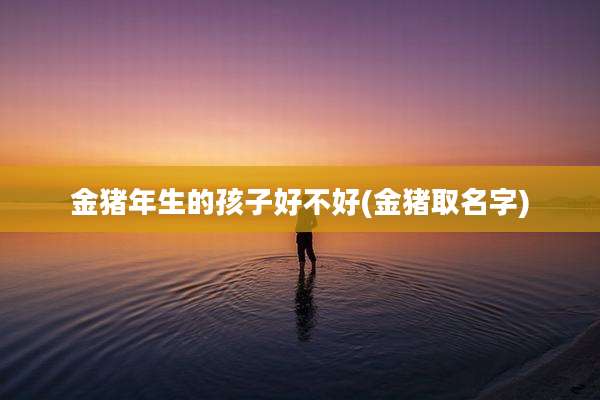 金猪年生的孩子好不好(金猪取名字)