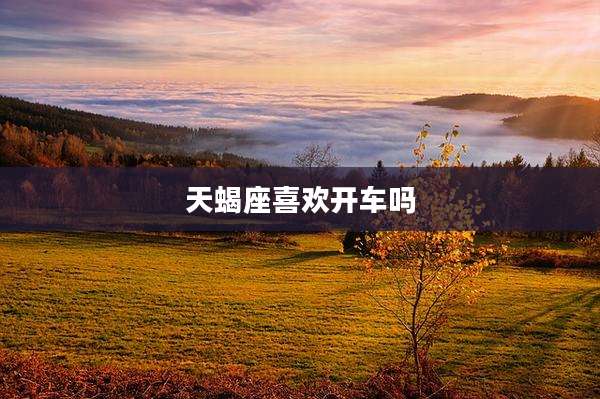 天蝎座喜欢开车吗