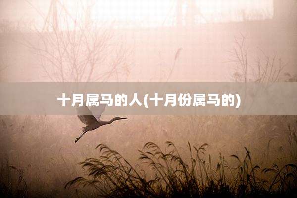 十月属马的人(十月份属马的)