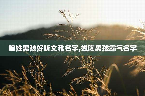 陶姓男孩好听文雅名字,姓陶男孩霸气名字