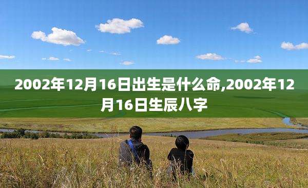 2002年12月16日出生是什么命,2002年12月16日生辰八字