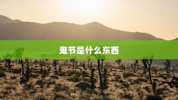鬼节是什么东西