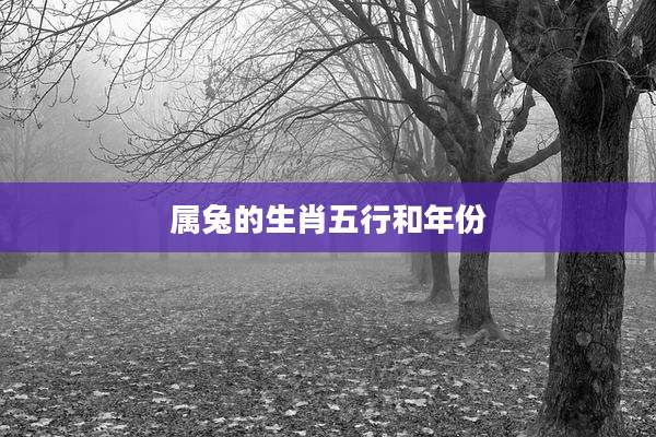 属兔的生肖五行和年份