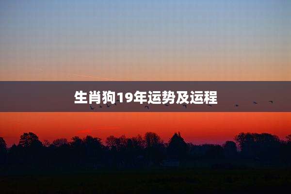 生肖狗19年运势及运程