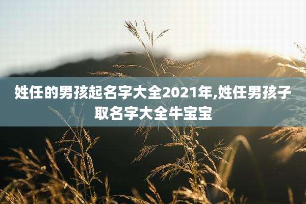 姓任的男孩起名字大全2021年,姓任男孩子取名字大全牛宝宝