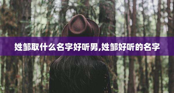 姓邹取什么名字好听男,姓邹好听的名字