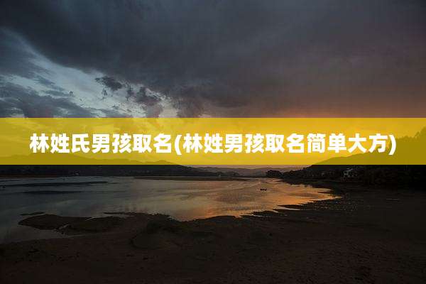 林姓氏男孩取名(林姓男孩取名简单大方)