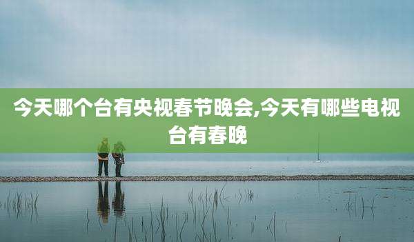 今天哪个台有央视春节晚会,今天有哪些电视台有春晚