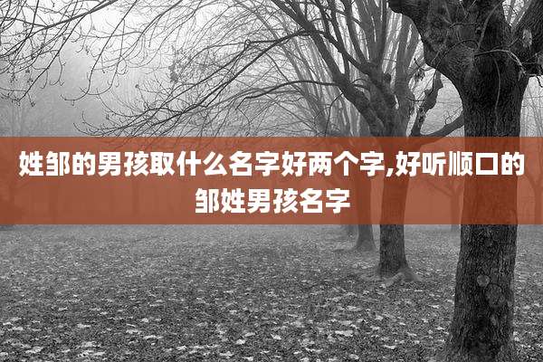姓邹的男孩取什么名字好两个字,好听顺口的邹姓男孩名字