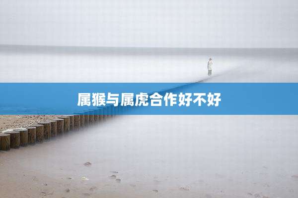 属猴与属虎合作好不好