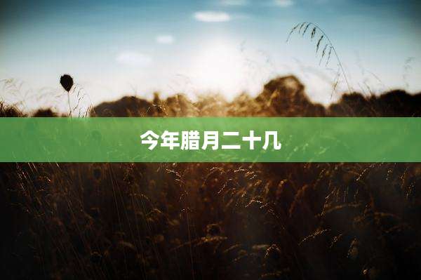 今年腊月二十几