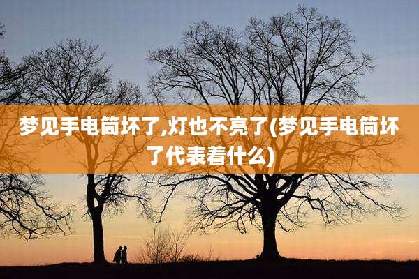 梦见手电筒坏了,灯也不亮了(梦见手电筒坏了代表着什么)
