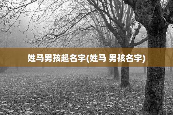 姓马男孩起名字(姓马 男孩名字)