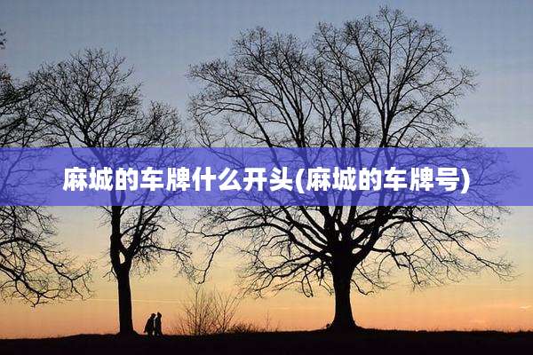 麻城的车牌什么开头(麻城的车牌号)
