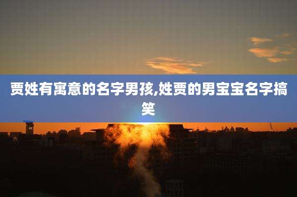 贾姓有寓意的名字男孩,姓贾的男宝宝名字搞笑