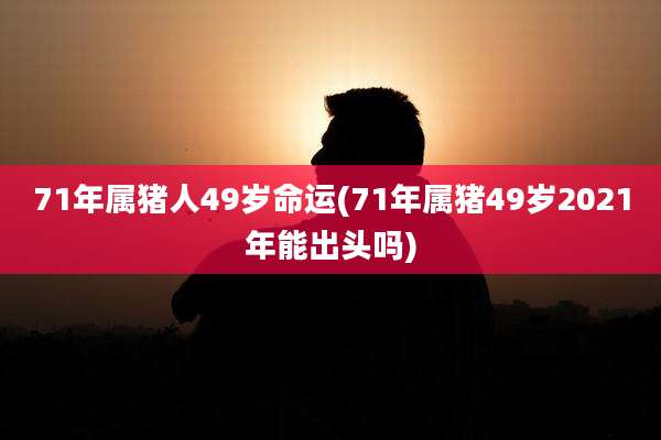 71年属猪人49岁命运(71年属猪49岁2021年能出头吗)