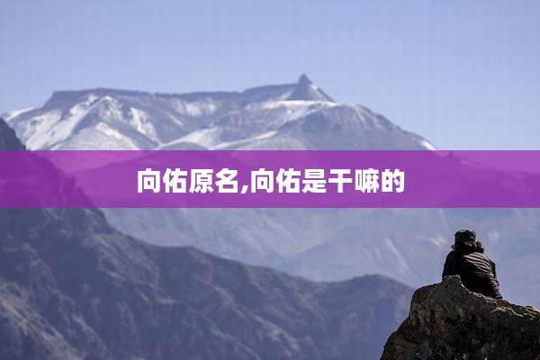 向佑原名,向佑是干嘛的