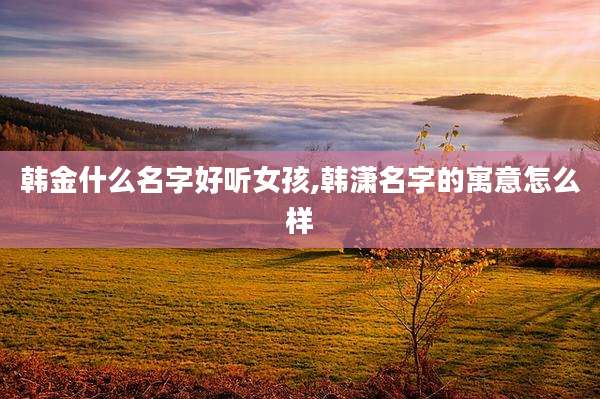 韩金什么名字好听女孩,韩潇名字的寓意怎么样