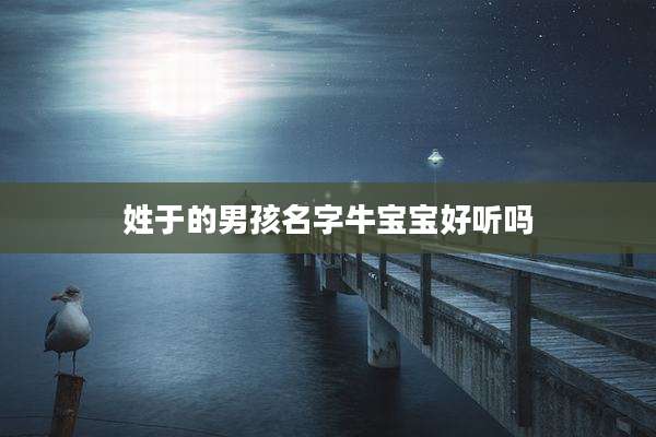 姓于的男孩名字牛宝宝好听吗