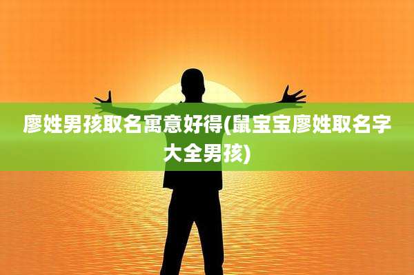 廖姓男孩取名寓意好得(鼠宝宝廖姓取名字大全男孩)
