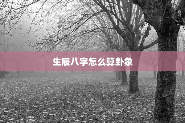 生辰八字怎么算卦象