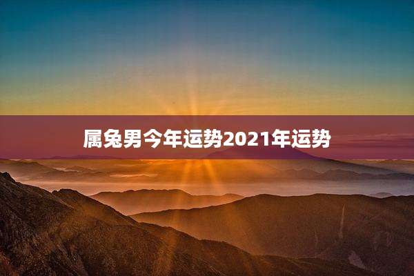 属兔男今年运势2021年运势