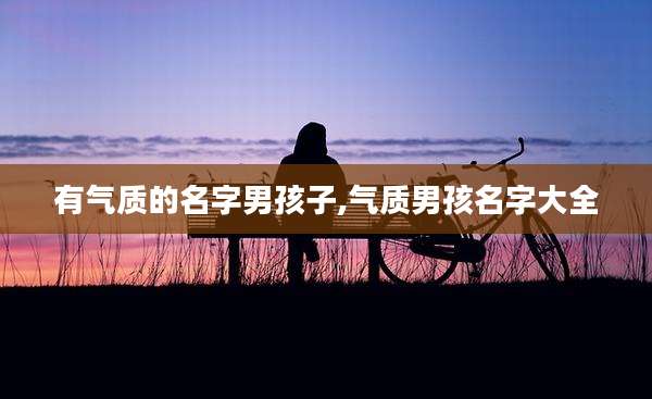 有气质的名字男孩子,气质男孩名字大全